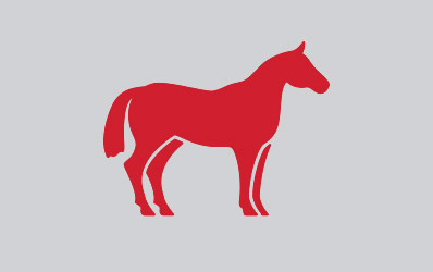 equine icon