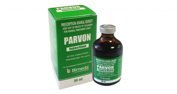 Parvon