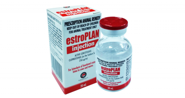 Estroplan Injection